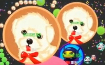 球球大作戰(zhàn)刷體重教學視頻 體重怎么刷