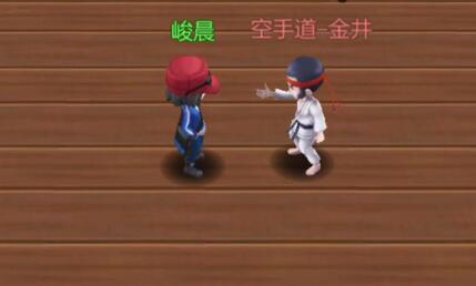 口袋妖怪重制巖石系道館挑戰(zhàn)視頻 決戰(zhàn)小剛