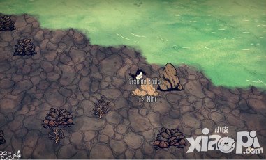 饑荒海難怎么抓鳥(niǎo) 抓鳥(niǎo)攻略分享