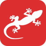 壁虎養(yǎng)車(chē)