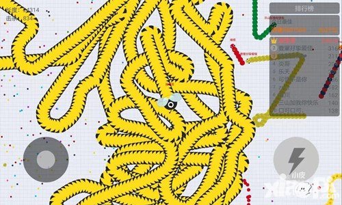 貪吃蛇大作戰(zhàn)高分居然是在打電腦 女孩子們都在玩