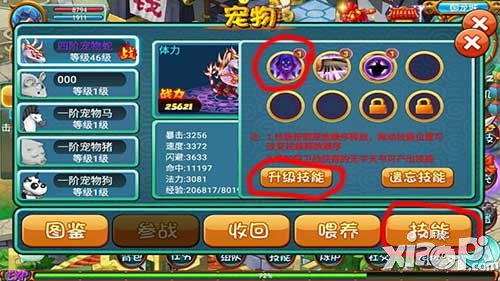 《十二生肖》寵物技能學(xué)習(xí)和升級 空余技能槽不能少