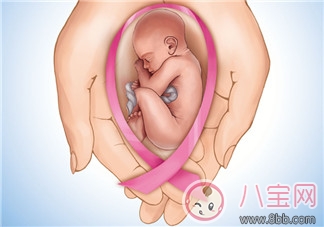 備孕首先應(yīng)該了解什么？宮頸黏液和排卵期是什么？