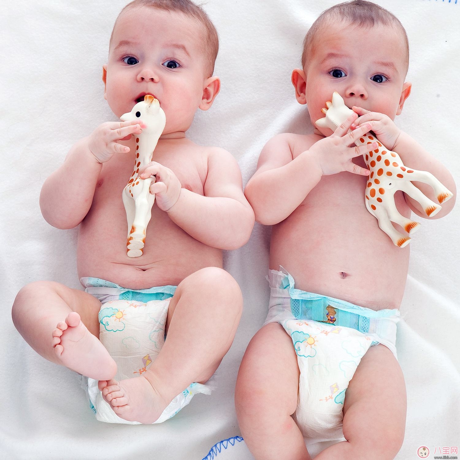 林志穎再添一對雙胞胎兒子 如何容易生雙胞胎 林志穎再添一對雙胞胎兒子 如何容易生雙胞胎