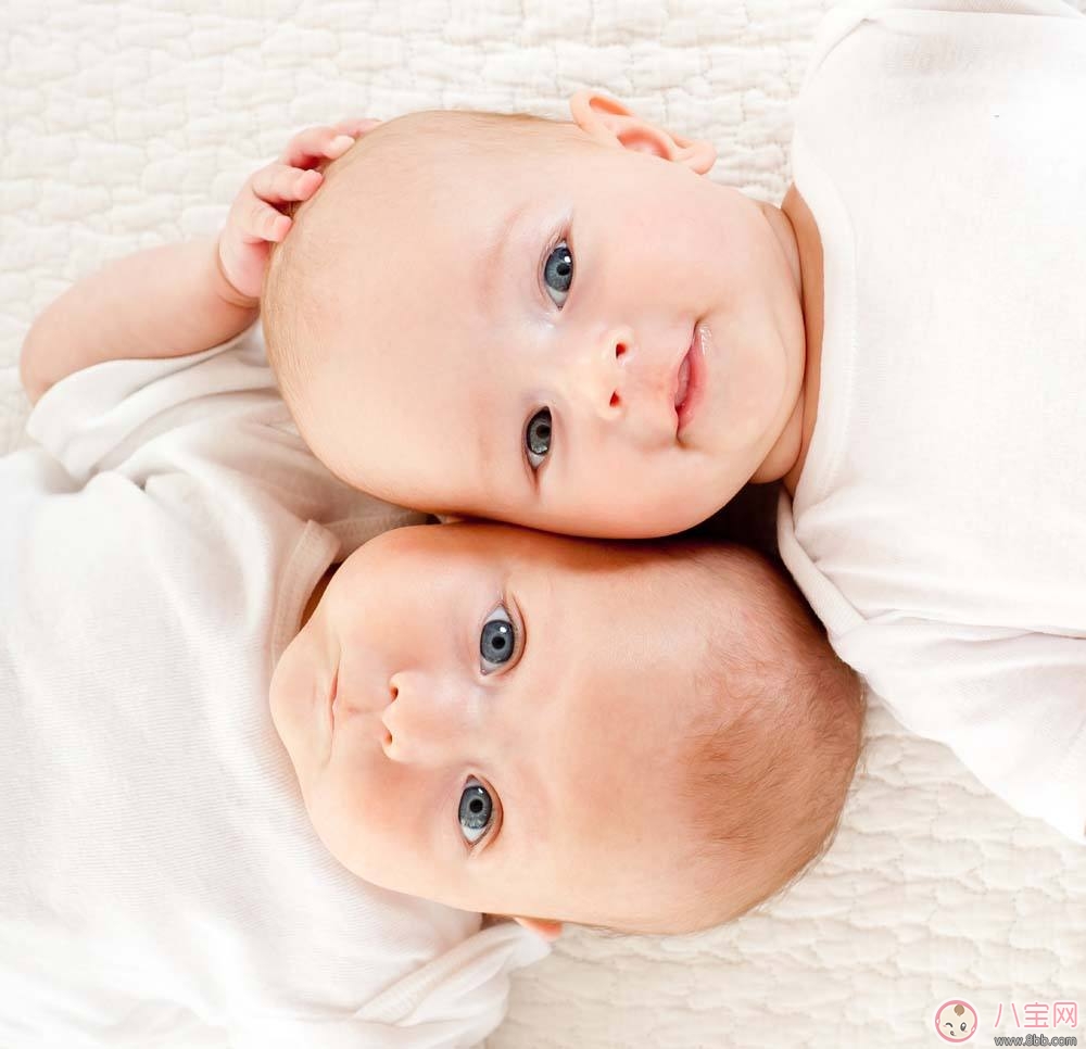 林志穎再添一對雙胞胎兒子 如何容易生雙胞胎 林志穎再添一對雙胞胎兒子 如何容易生雙胞胎