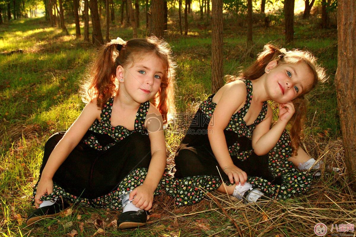 林志穎再添一對雙胞胎兒子 如何容易生雙胞胎 林志穎再添一對雙胞胎兒子 如何容易生雙胞胎