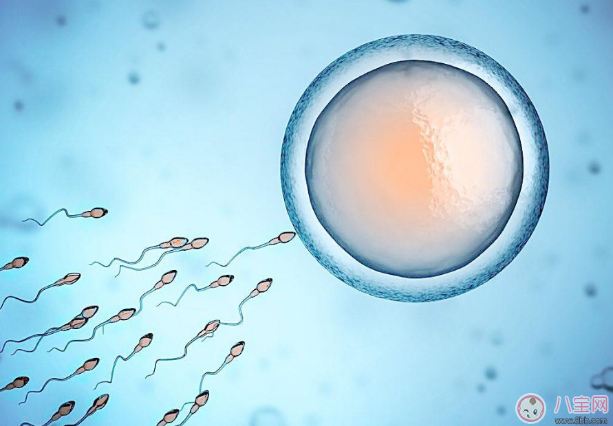 備孕三個月懷不上 其實(shí)懷不上并不是一個人的錯 備孕三個月懷不上 其實(shí)懷不上并不是一個人的錯