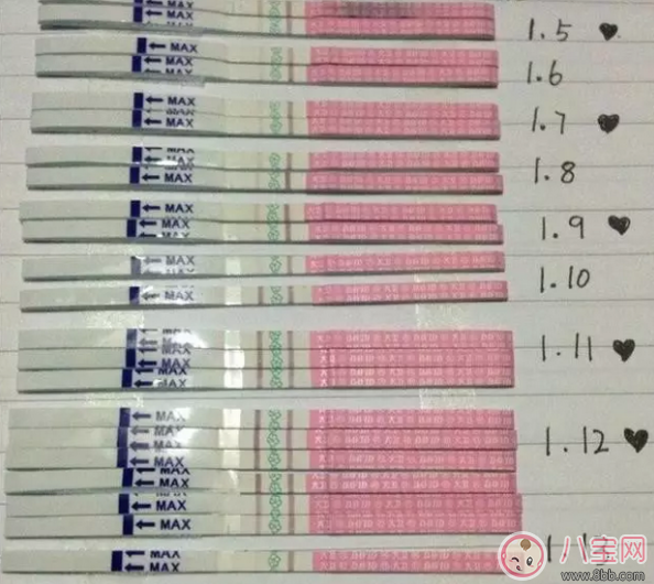 4天內(nèi)造人成功    成功率最高的懷孕方法