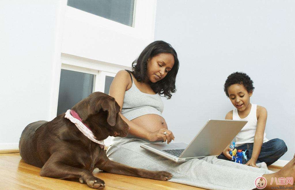 孕初期如何上網(wǎng) 孕初期上網(wǎng)注意事項