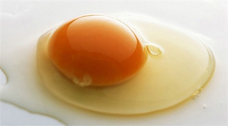 備孕期間男人吃什么好 備孕男人吃什么提高精子質(zhì)量 備孕期間男人吃什么好 備孕男人吃什么提高精子質(zhì)量