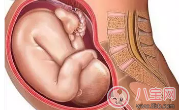 懷孕后那些情況不能順產(chǎn) 有些時(shí)候多聽醫(yī)囑準(zhǔn)沒錯(cuò)