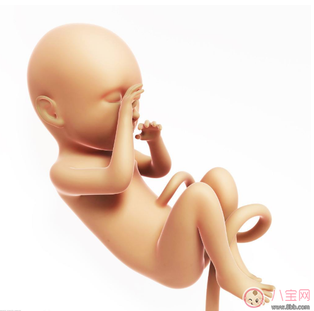 胎兒在肚子里哭能感覺到嗎 胎兒在準(zhǔn)媽媽肚子變化 胎兒在肚子里哭能感覺到嗎 胎兒在準(zhǔn)媽媽肚子變化