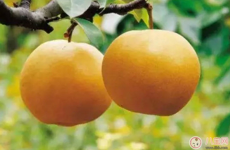 孕婦秋燥怎么調(diào)理吃什么好 孕婦秋燥如何護(hù)理皮膚