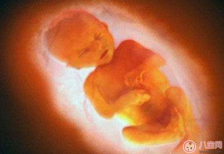 孕婦四維彩超的最佳時間 孕婦一定要做四維彩超嗎 孕婦四維彩超的最佳時間 孕婦一定要做四維彩超嗎