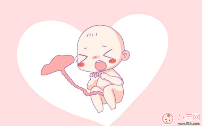 扎心了老鐵沒鐵了 準媽媽補鐵這么做效率高 扎心了老鐵沒鐵了 準媽媽補鐵這么做效率高