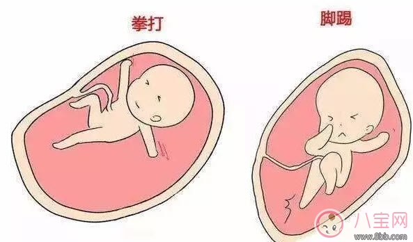 飯點(diǎn)吃飯的時(shí)候?qū)殞毺?dòng)的厲害 寶寶胎動(dòng)的意思還有哪些