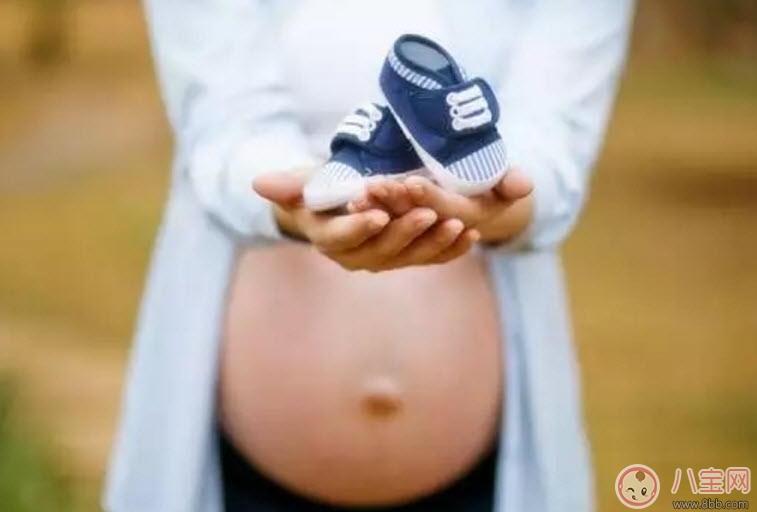 胎停育的癥狀有哪些 胎停育的前兆反應是什么(胎停育的原因) 胎停育的癥狀有哪些 胎停育的前兆反應是什么(胎停育的原因)