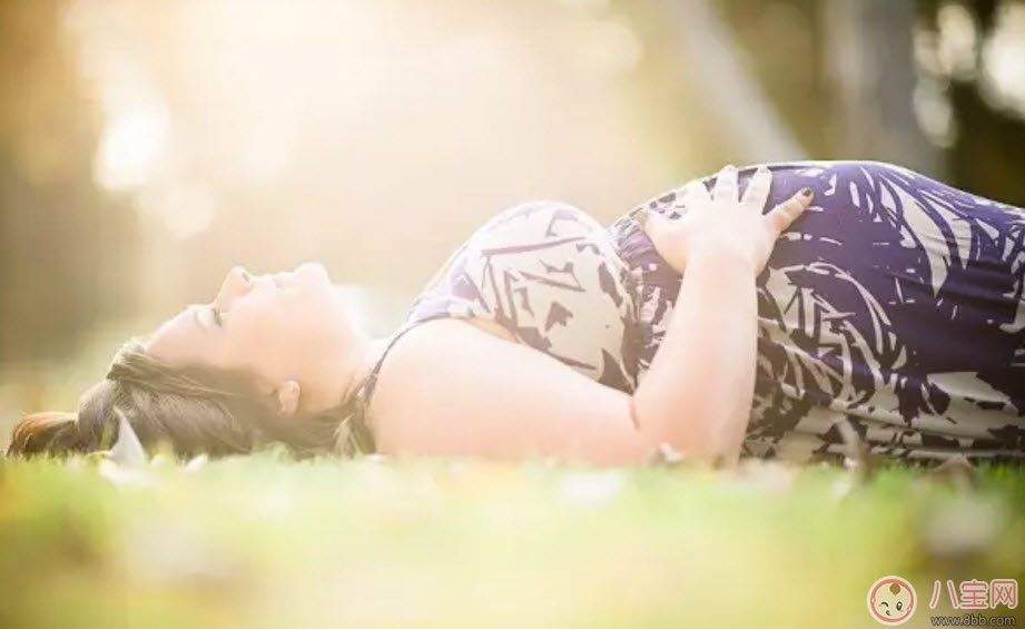 胎停育的癥狀有哪些 胎停育的前兆反應是什么(胎停育的原因) 胎停育的癥狀有哪些 胎停育的前兆反應是什么(胎停育的原因)