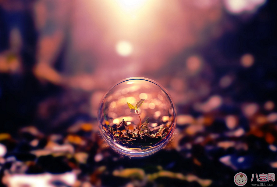 懷孕時有哪些事情做了才不會覺得遺憾 不知道就等著后悔吧