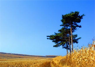 秋天準(zhǔn)媽媽怎么吃好 準(zhǔn)媽媽秋季如何進(jìn)補(bǔ)