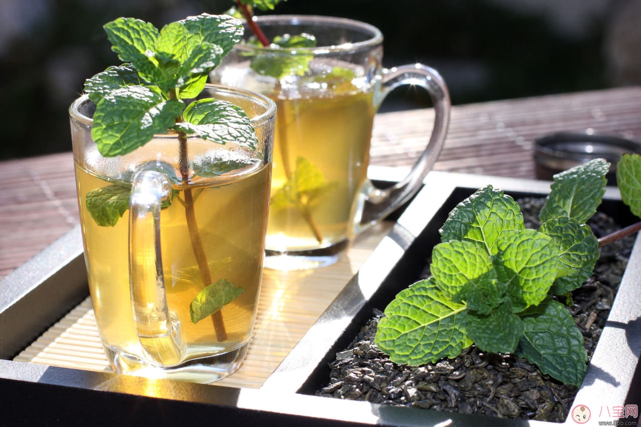 孕婦喝薄荷茶知多少 孕婦可以喝薄荷茶嗎 孕婦喝薄荷茶知多少 孕婦可以喝薄荷茶嗎