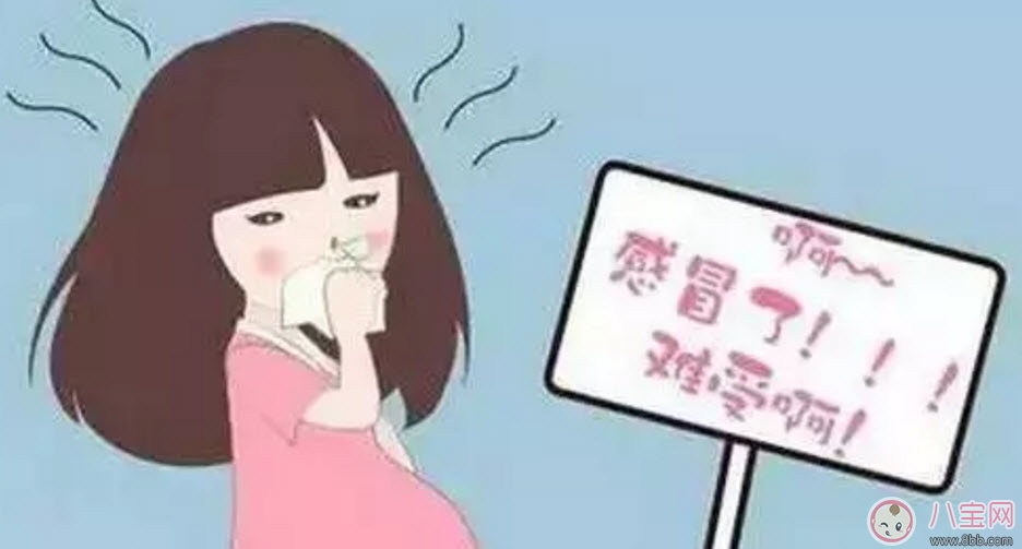 孕婦可以喝板藍根嗎 孕婦感冒咳嗽可以喝板藍根顆粒嗎