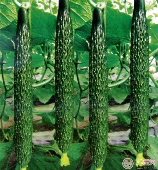 孕婦糖尿病對孩子有什么影響 孕婦糖尿病的癥狀有哪些