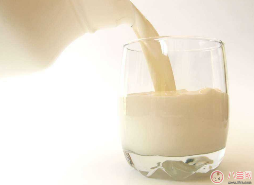 孕婦不能亂喝牛奶？ 看了這個你就會明白