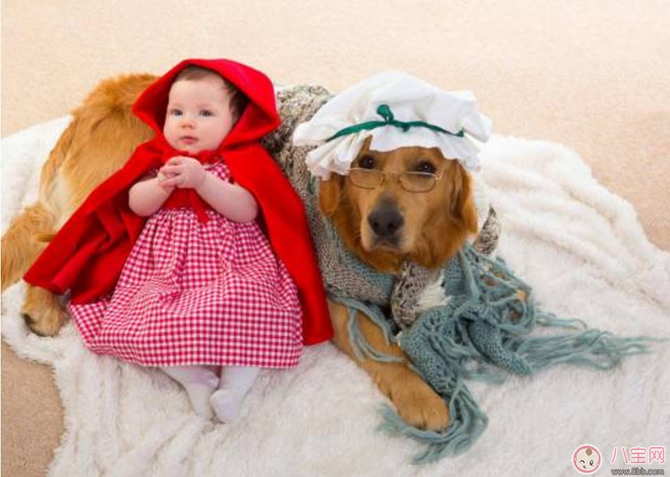 孕期家里有寵物怎么辦 孕期養(yǎng)寵物注意事項(xiàng)