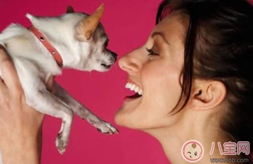 孕期家里有寵物怎么辦 孕期養(yǎng)寵物注意事項(xiàng)