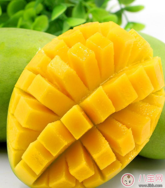 老婆懷孕了給她嘗嘗鮮 懷孕可以吃芒果嗎