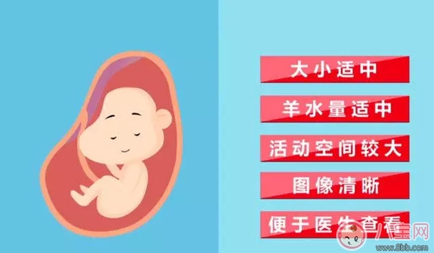 從懷孕到生要做幾次b超 懷孕做多少次b超合適(孕期b超時間表)