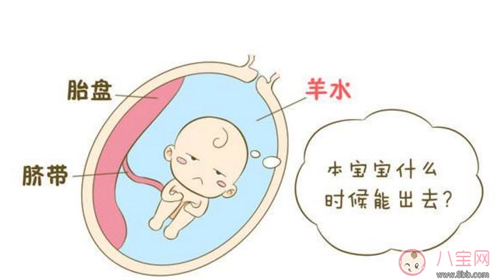 孕晚期羊水過多怎么辦 羊水過多的原因 孕晚期羊水過多怎么辦 羊水過多的原因