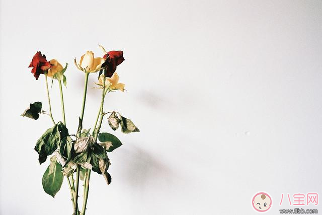 懷孕孕酮低 莫方,看看這些來調整