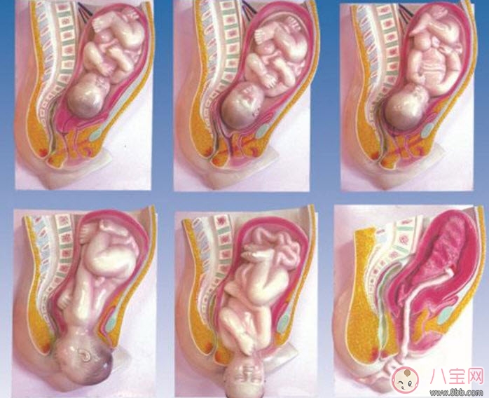 快生的前幾天有什么癥狀 懷胎十月怎么算足月是多少周(37周到42周) 快生的前幾天有什么癥狀 懷胎十月怎么算足月是多少周(37周到42周)