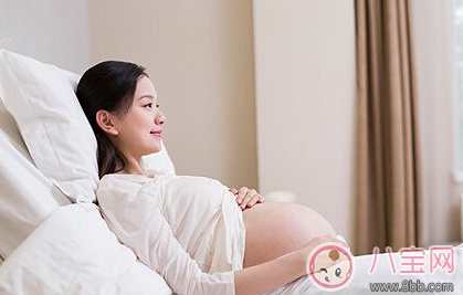 孕早期有哪些安胎食物 安胎食品推薦 孕早期有哪些安胎食物 安胎食品推薦