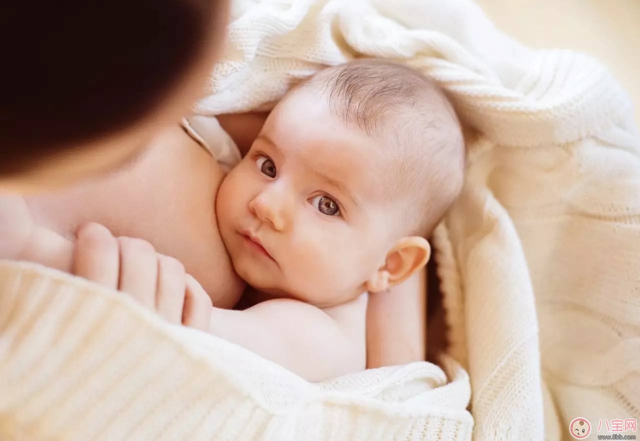 哺乳期間飲食 食用甲殼類安全嗎 哺乳期間飲食 食用甲殼類安全嗎