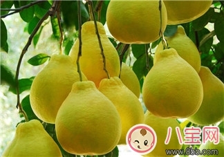 柚子減肥法 秋季去燥又瘦身 柚子減肥法 秋季去燥又瘦身