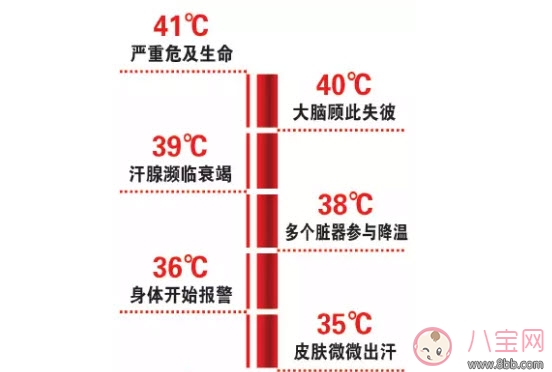 三伏天坐月子拒開(kāi)空調(diào)捂出傷 為什么坐月子能捂出腦損傷