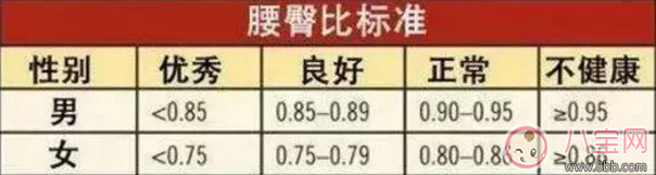 柯基臀是什么 李菲兒柯基臀怎么練出來(lái)的