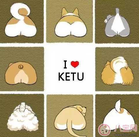 柯基臀是什么 李菲兒柯基臀怎么練出來(lái)的