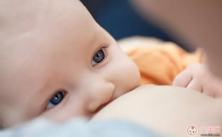 多大的寶寶可以斷夜奶 寶寶夜奶什么時候斷比較好 多大的寶寶可以斷夜奶 寶寶夜奶什么時候斷比較好