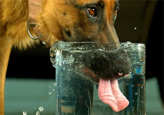 喝水其實大有講究了 隔夜的水究竟怎么喝