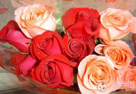 十年錫婚有什么講究 十年錫婚的含義2017