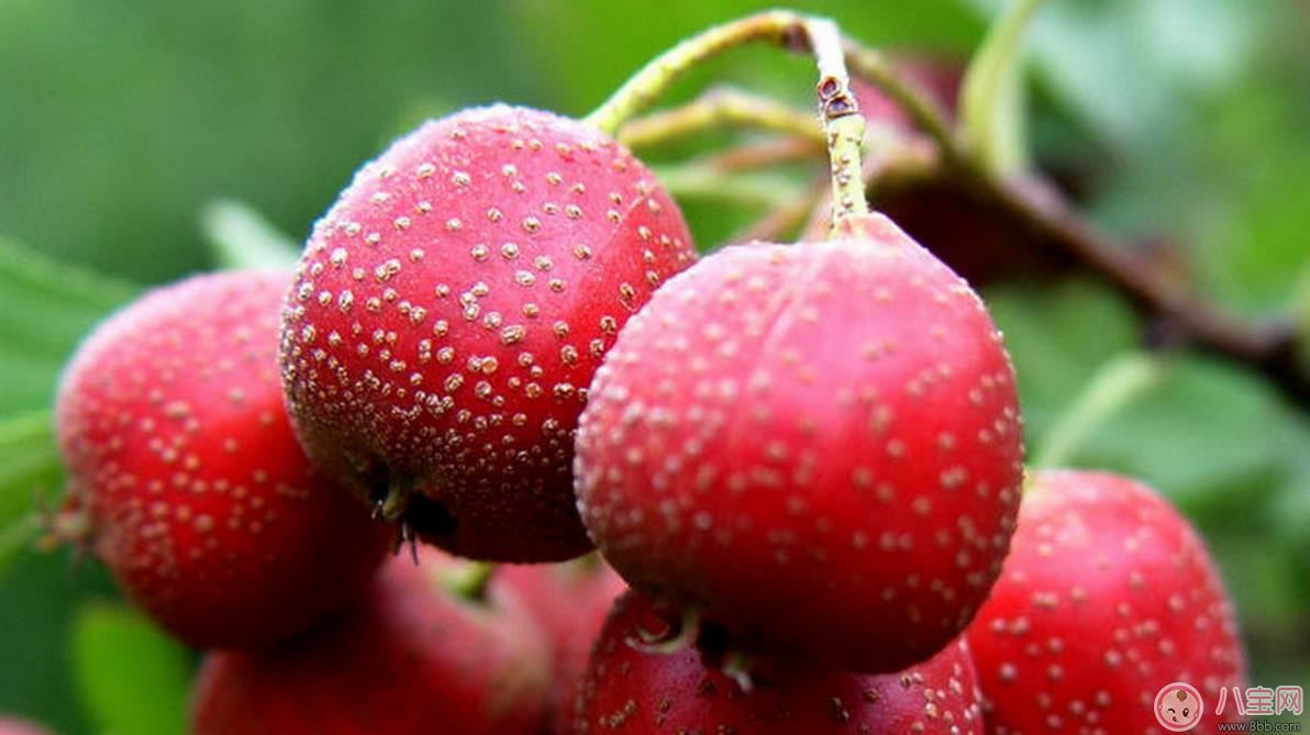 產(chǎn)后吃西瓜拉肚子難受不已 產(chǎn)后哪些東西不能吃 產(chǎn)后吃西瓜拉肚子難受不已 產(chǎn)后哪些東西不能吃