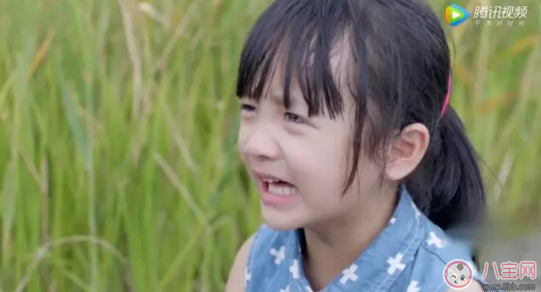 《美味奇緣》看了想睡覺！《美味奇緣》故事主線是什么？