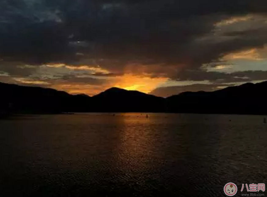 iPhone 8、iPhone 8 Plus以及iPhone X哪個好 哪款iPhone 更值得買