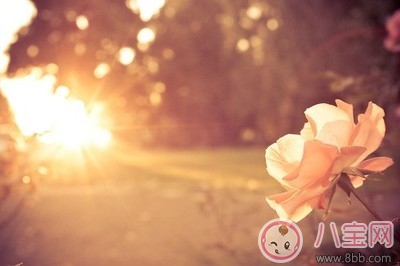 微博網(wǎng)易云里用爛了的評(píng)論 剖析為什么用爛了依舊戳心