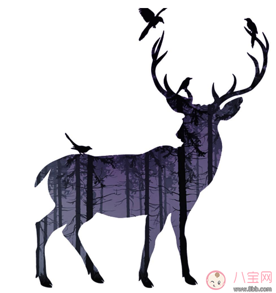 迷失的鹿薄荷迷全文閱讀 迷失的鹿白鹿完整版