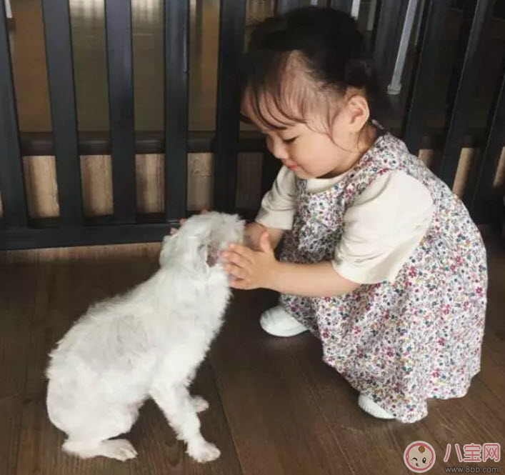 權(quán)律二媽媽是中國(guó)人還是韓國(guó)人 權(quán)律二媽媽爸爸資料照片家庭條件怎么樣